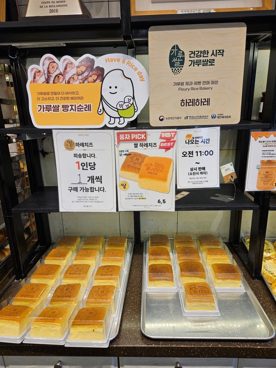사진/ 에디터 제공