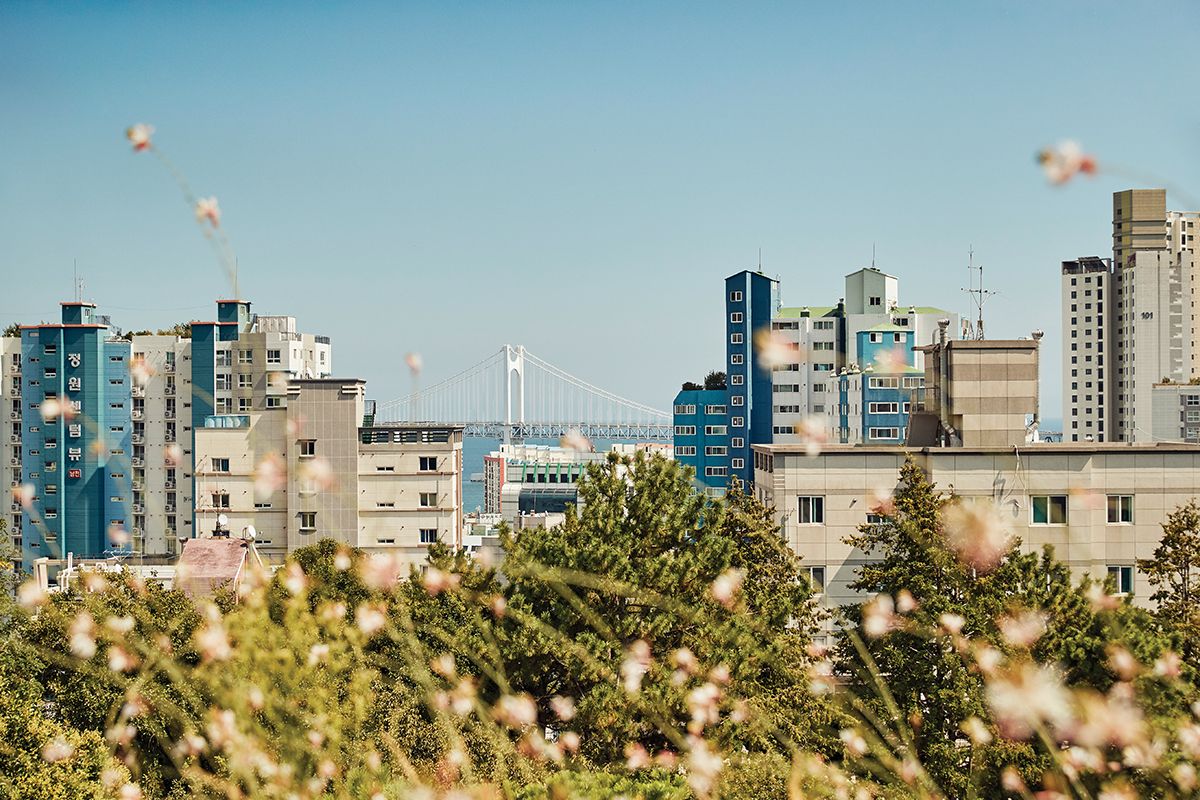 도모헌에서 보이는 광안대교 풍경.