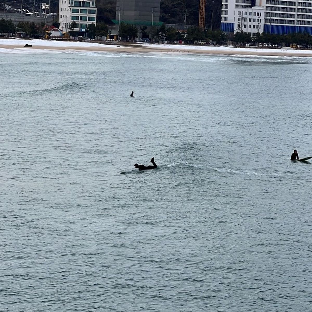 강원도 양양 죽도해변에서 겨울 서핑 / @trip_dive 