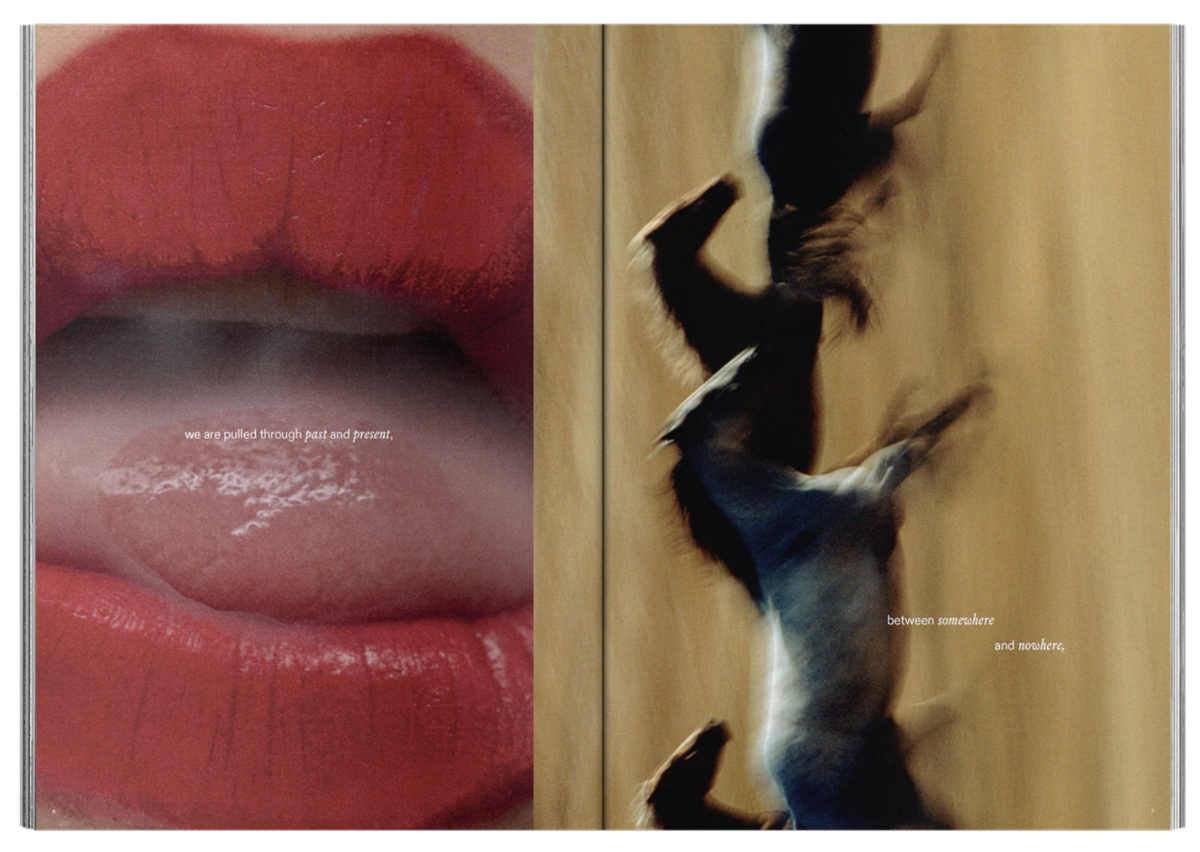 아름다운 영감들로 가득한 로어의 비주얼 북.