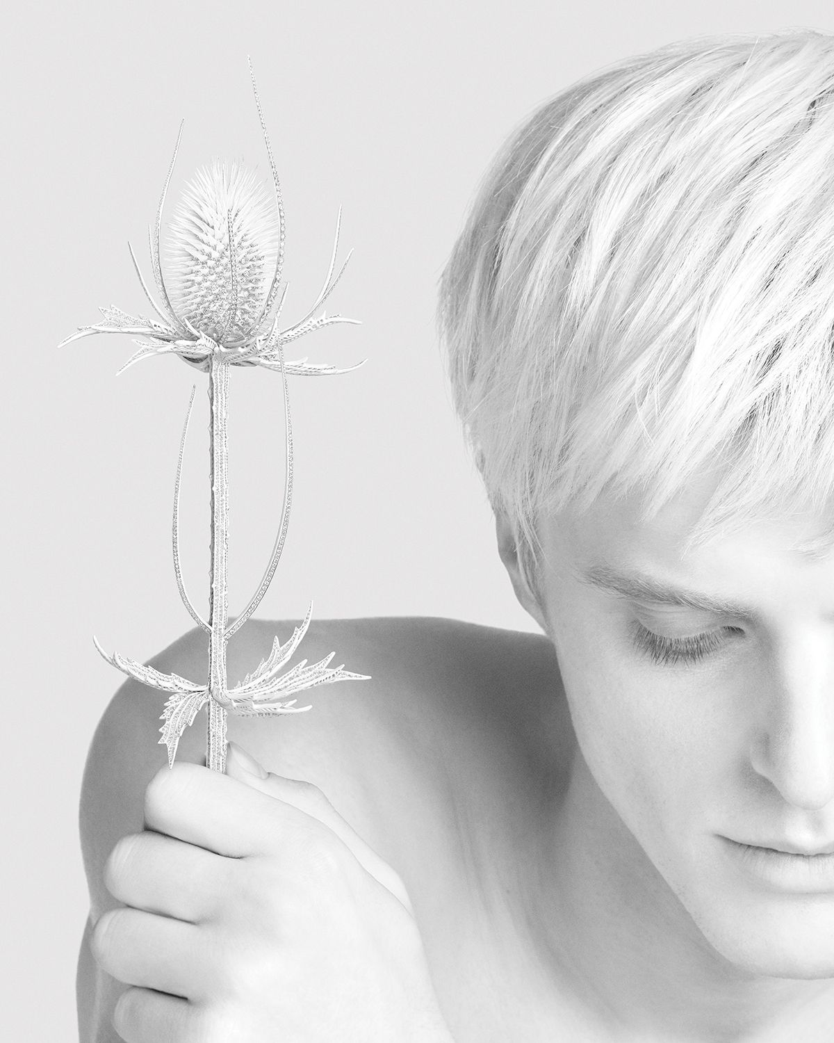 ‘Composition N°5’의 엉겅퀴와 장수풍뎅이. 