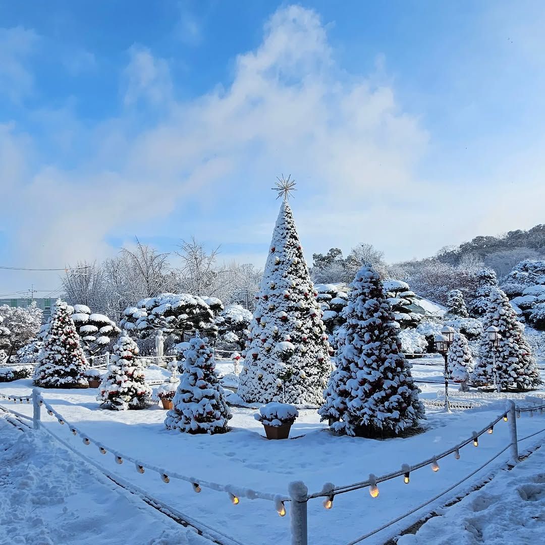 @cafe_de_chelsea_official