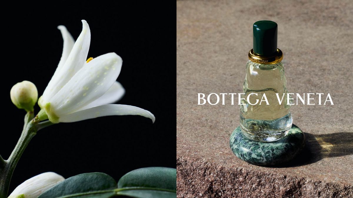 BOTTEGA VENETA