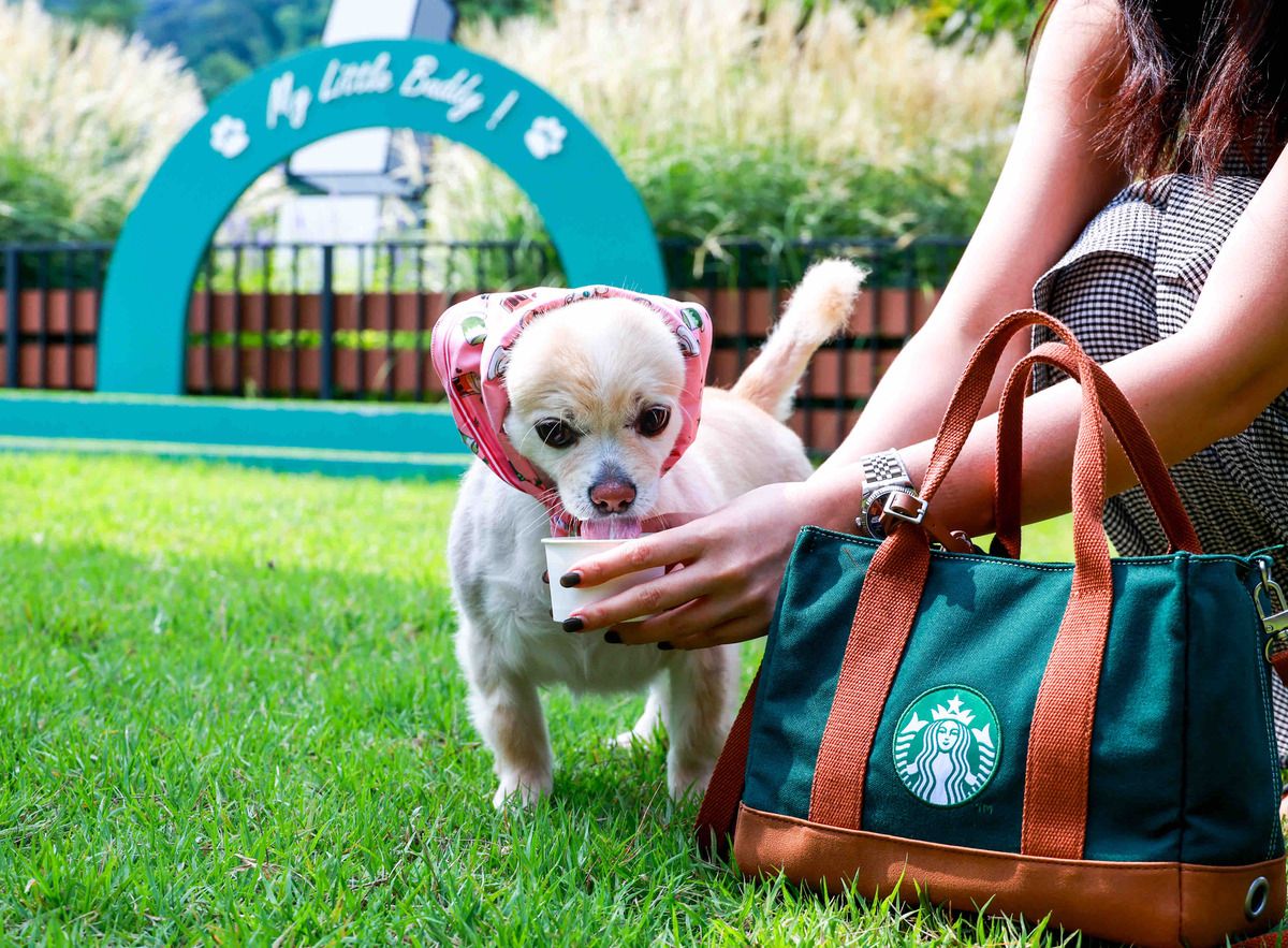 사진/ 스타벅스코리아 제공