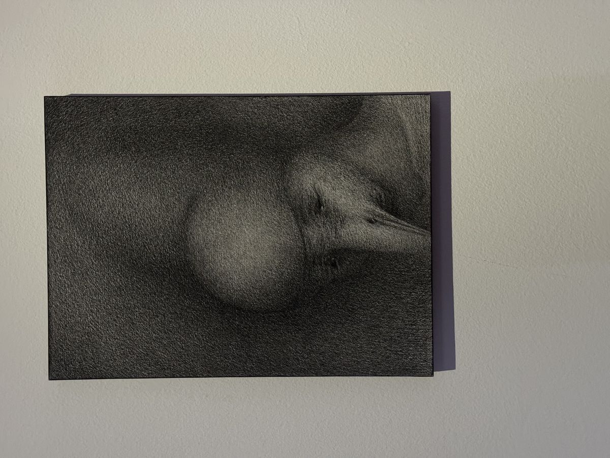 무진형제, <긍지의 날>, 2025, 판넬에 콩테 드로잉, 45.5 x 33.4 cm. 뛰어내리는 인간은 이런 얼굴을 하고 있다. 어딘가 슬픈 새의 얼굴을 한 인간. 사진: 고영진