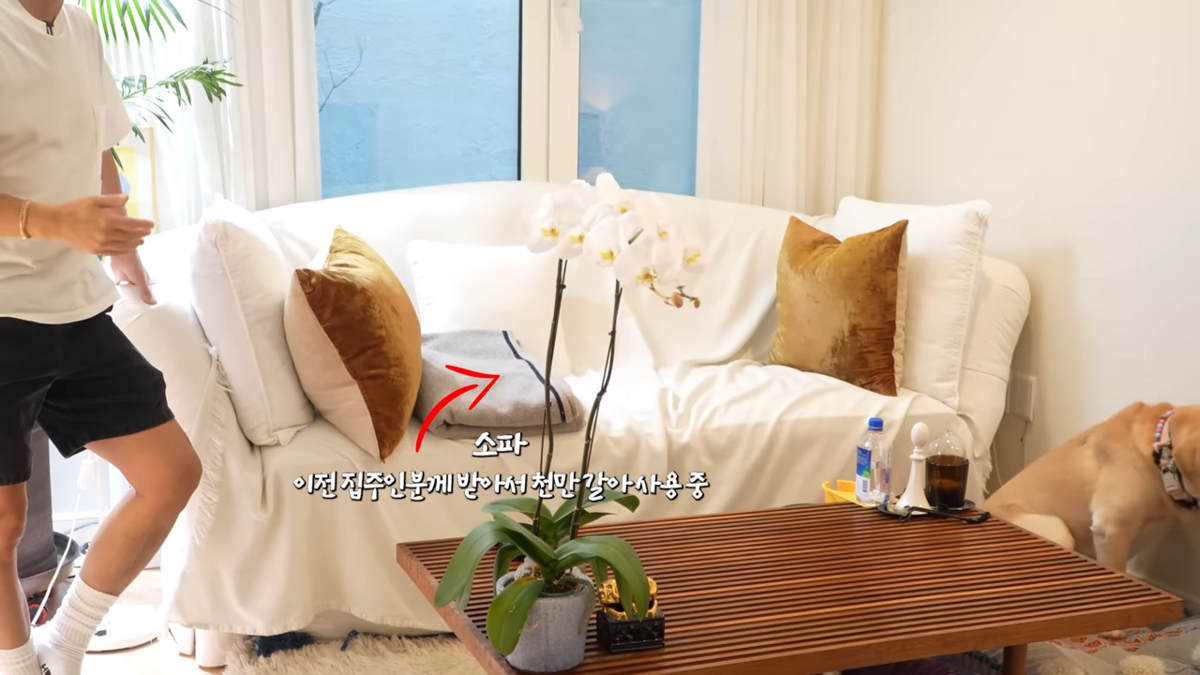 이전 집 주인에게서 선물받은 소파