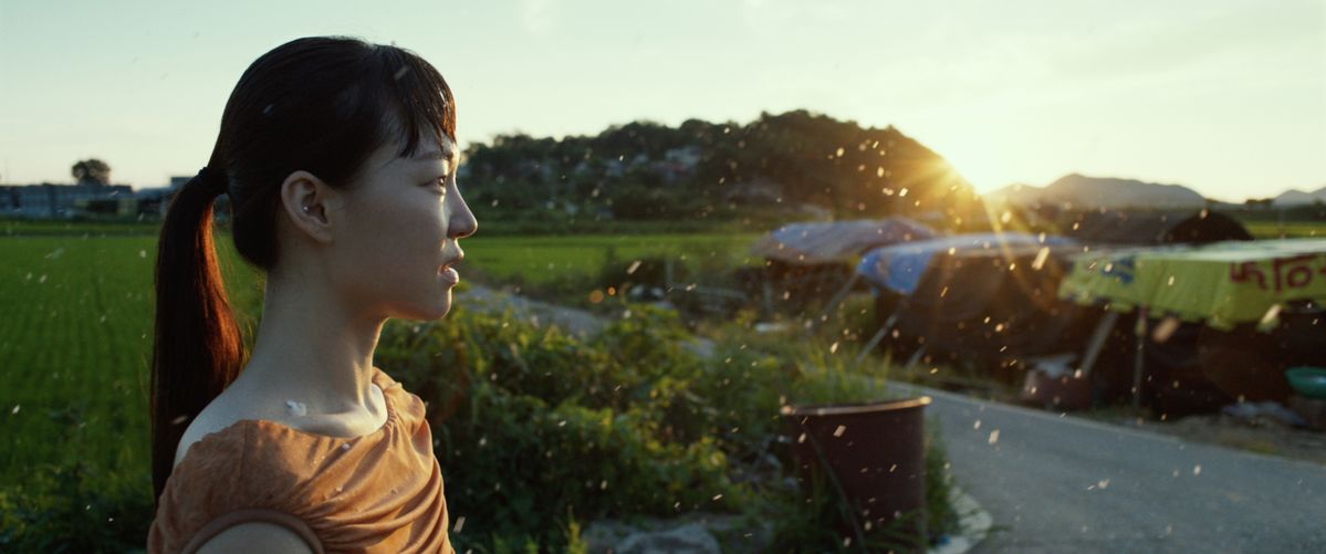 Bek Hyunjin 빛 23 Light23 2023 Single channel video 6 min 43 sec Courtesy of the artist and PKM Gallery.