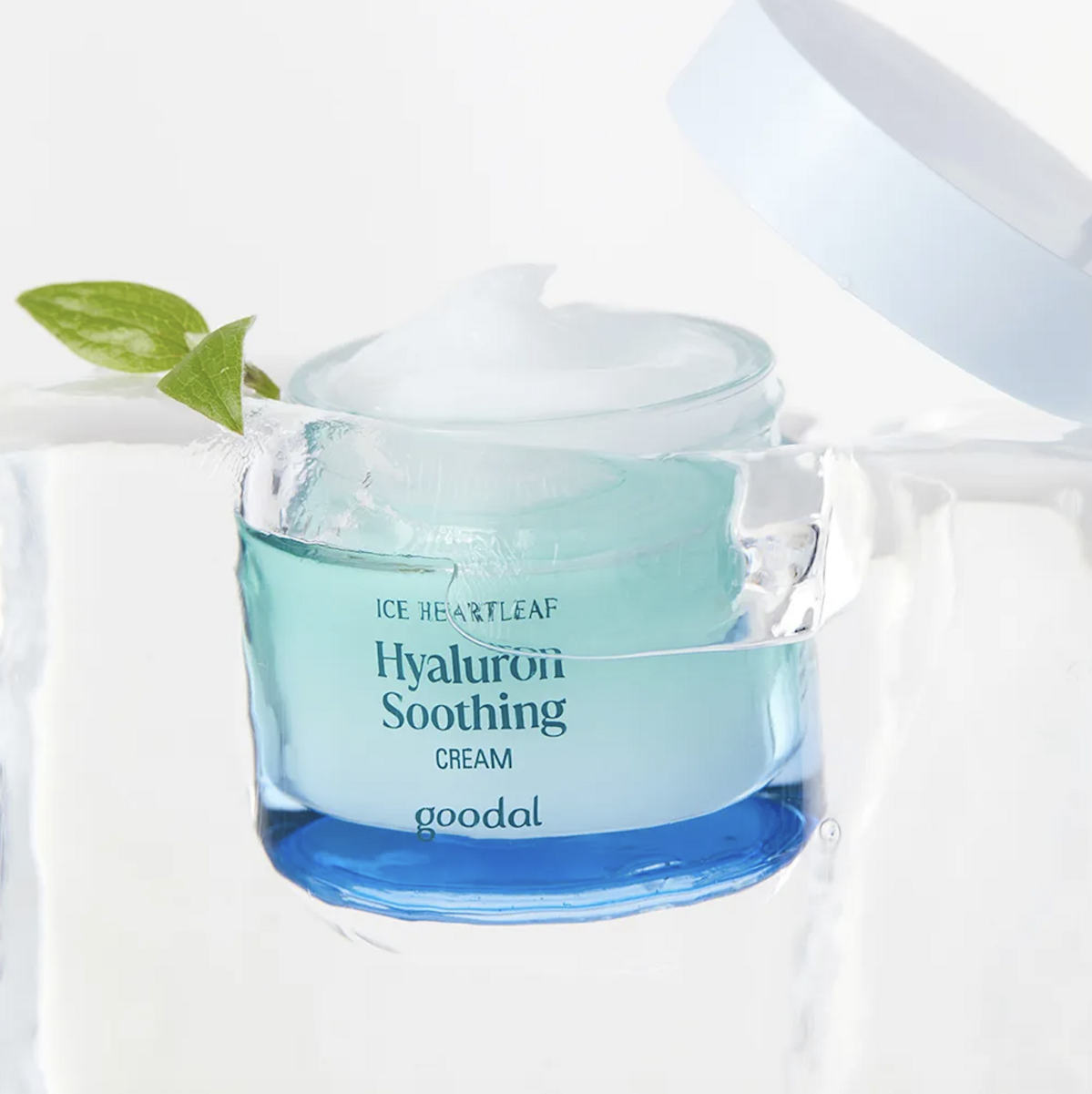 사진/ 구달 공식 사이트