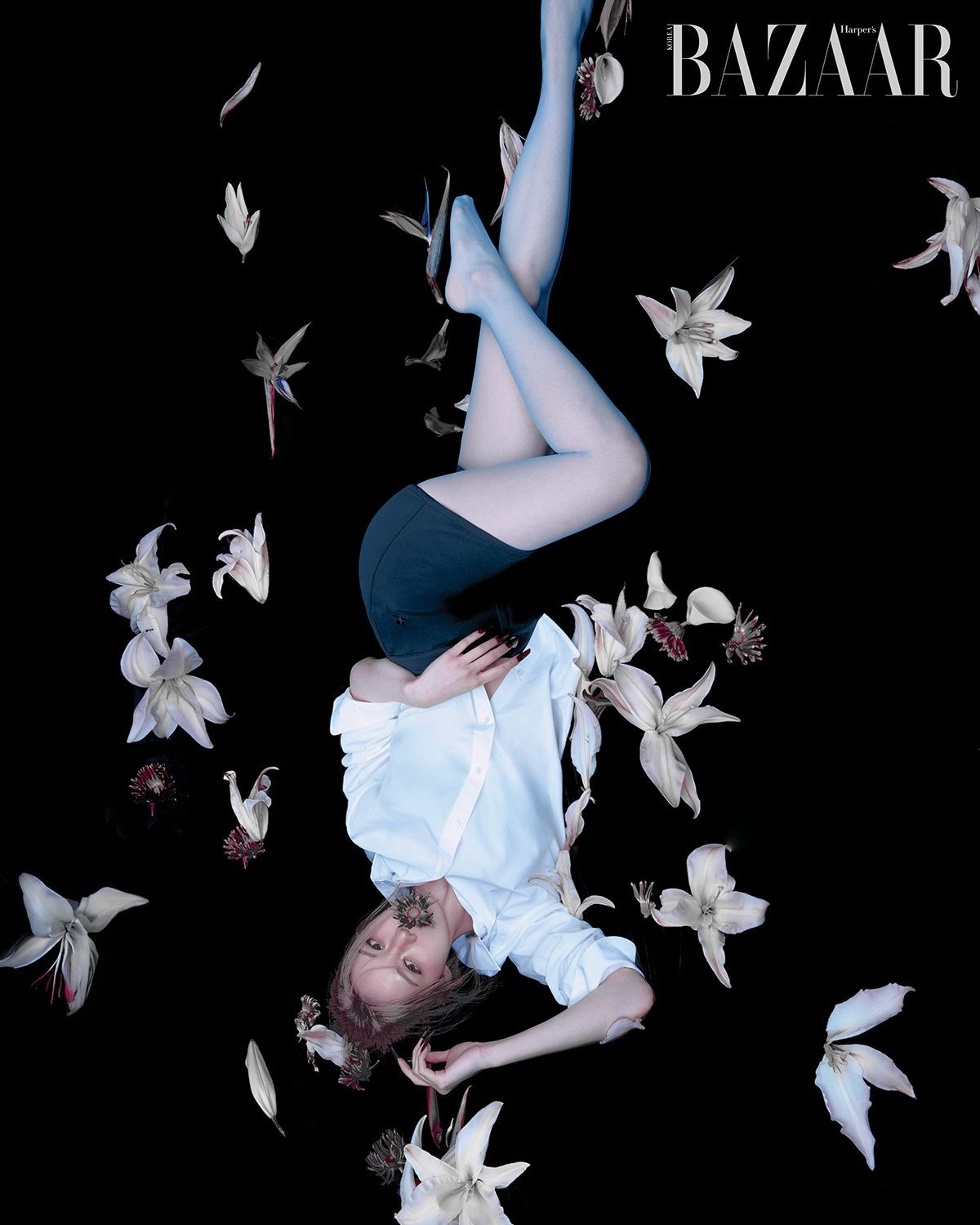 이미지 캡션 영역