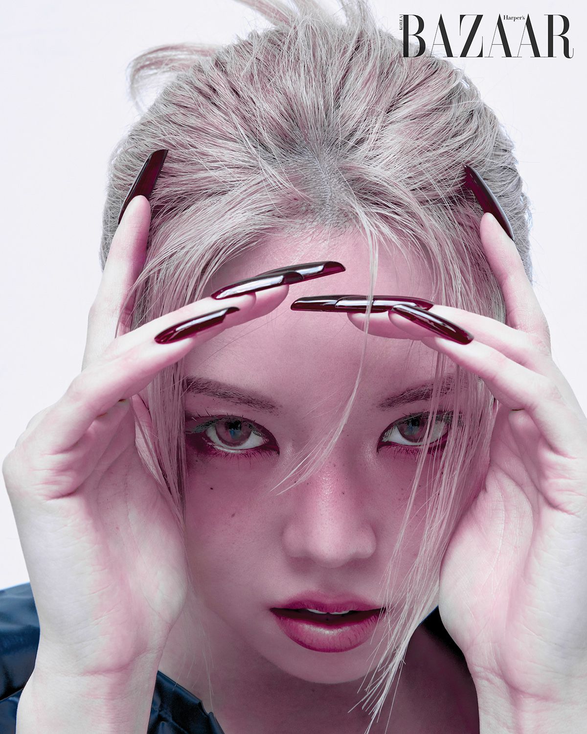 이미지 캡션 영역