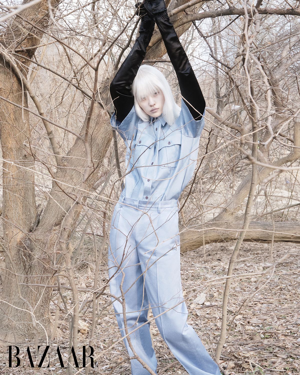 이미지 캡션 영역