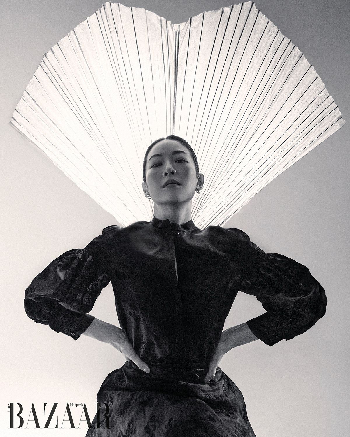 이미지 캡션 영역