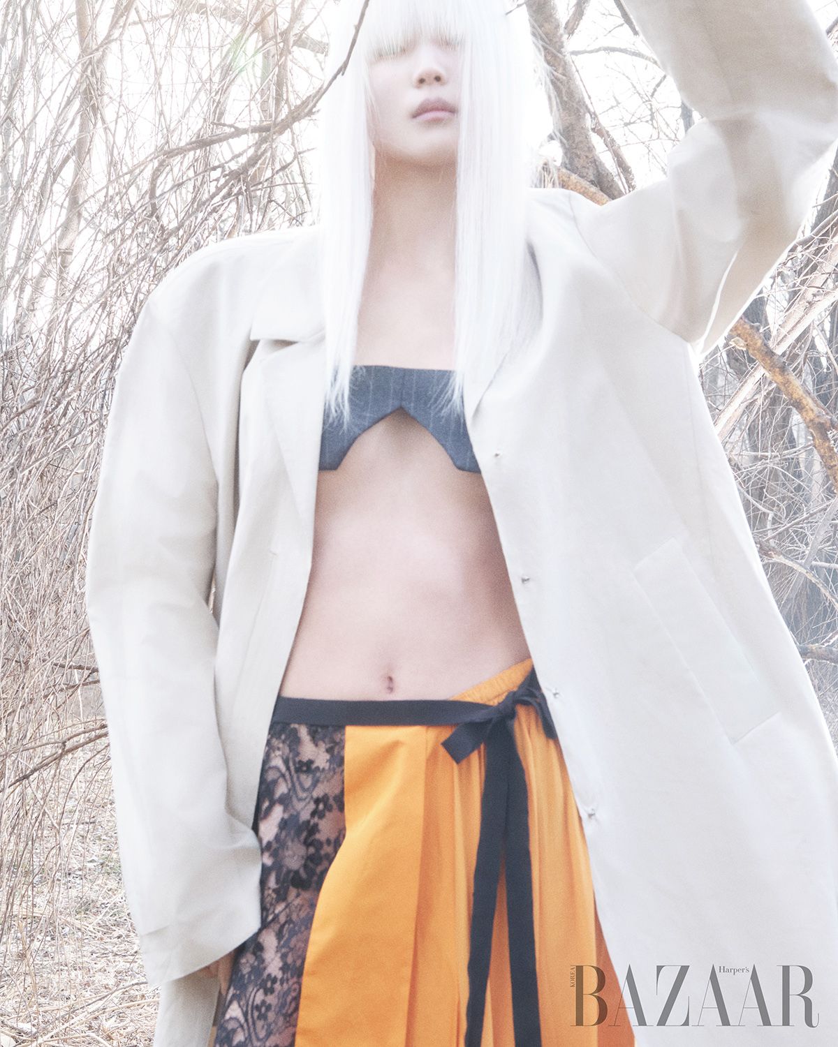 이미지 캡션 영역