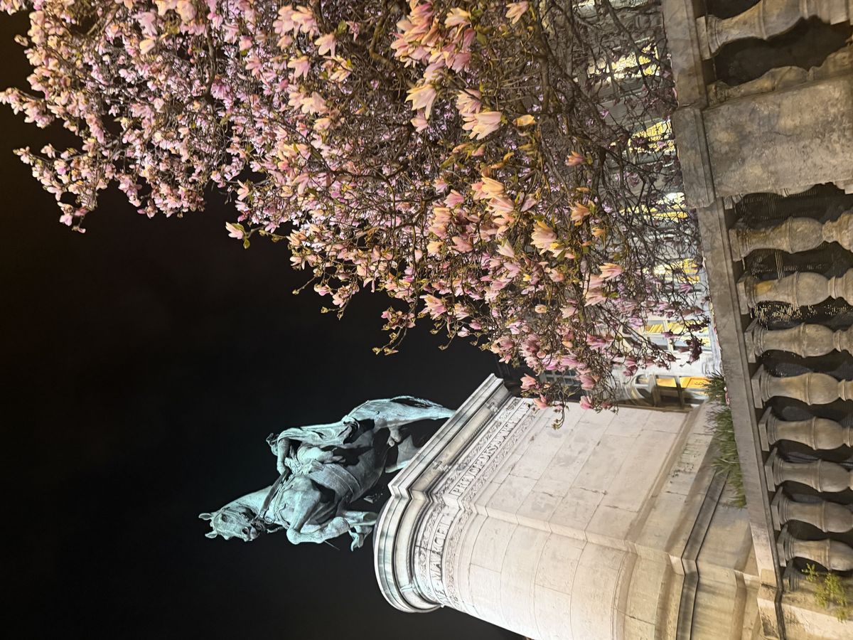 이른 봄이 찾아온 파리의 밤.