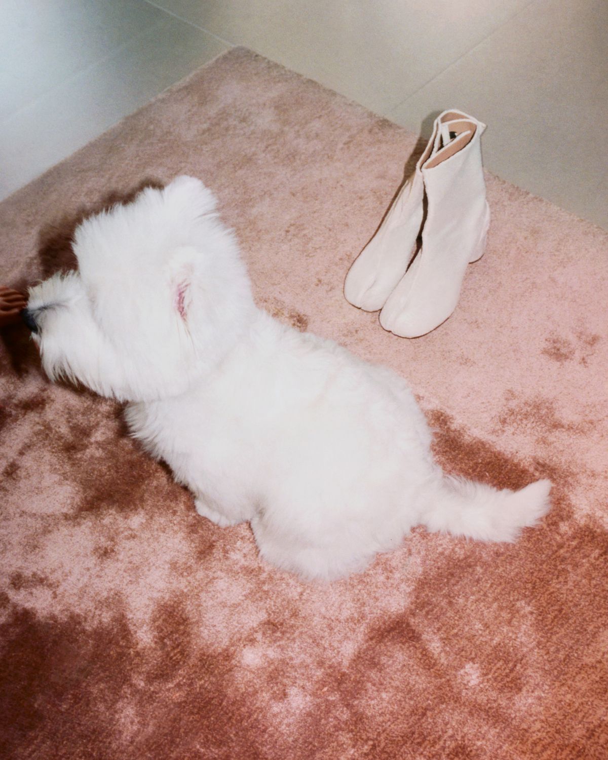 타비: 컬렉터 전시 