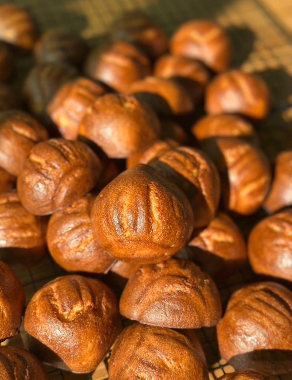 사진/ @neul.happy_