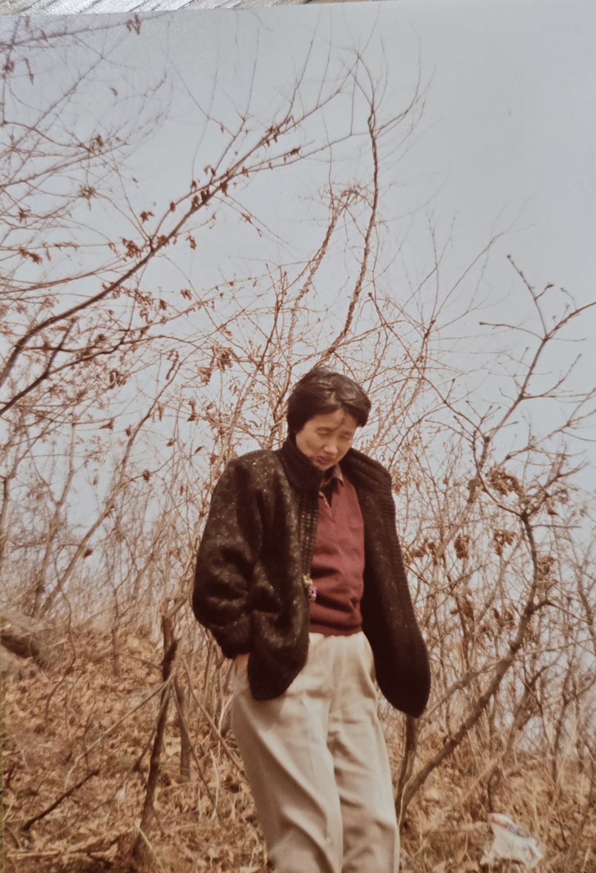 박완서 작가의 맏딸 호원숙 선생이 지난 1월 발간된 박완서 작가의 단편집 <쥬디 할머니>를 위해 제공한 사진. 작가의 50대 중반 무렵 모습이다.