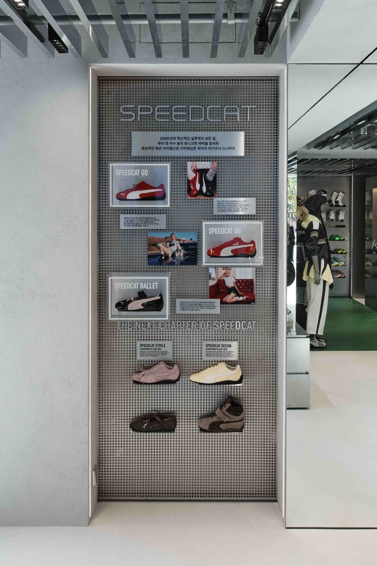 큐레이션한 제품들로 진열대를 채운 모습