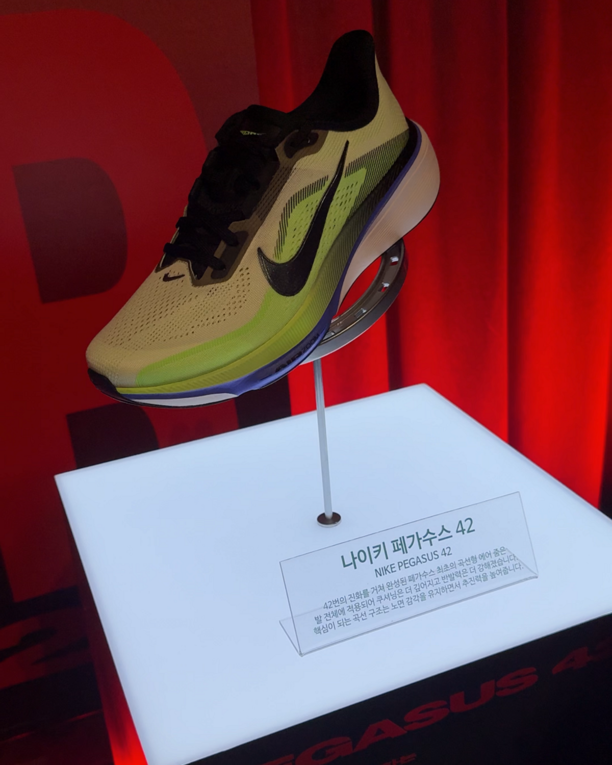 그린 컬러의 페가수스 42