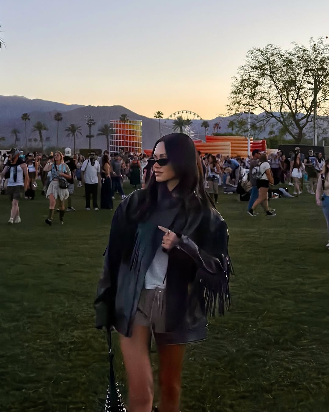 사진/ @michelleinfusino