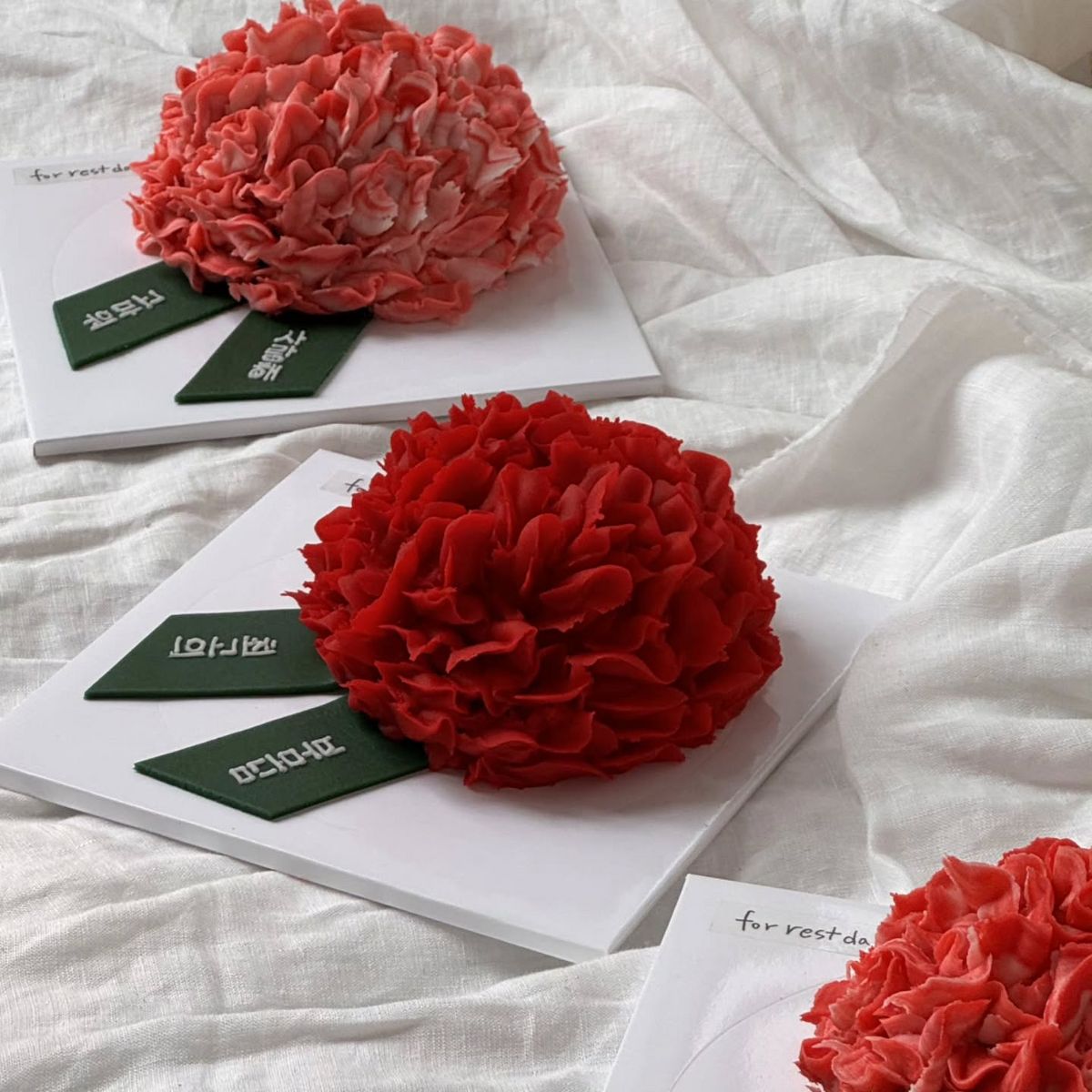 사진/ @forrestday_