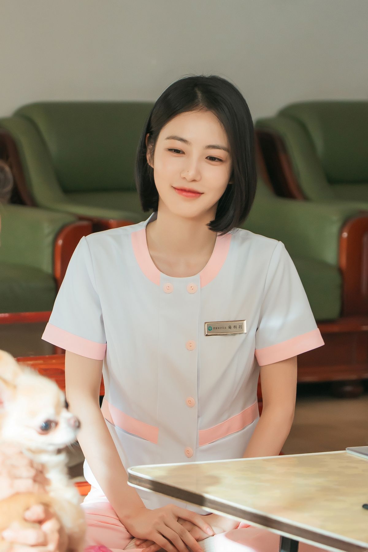 ENA 월화드라마 <닥터 섬보이> 스틸
