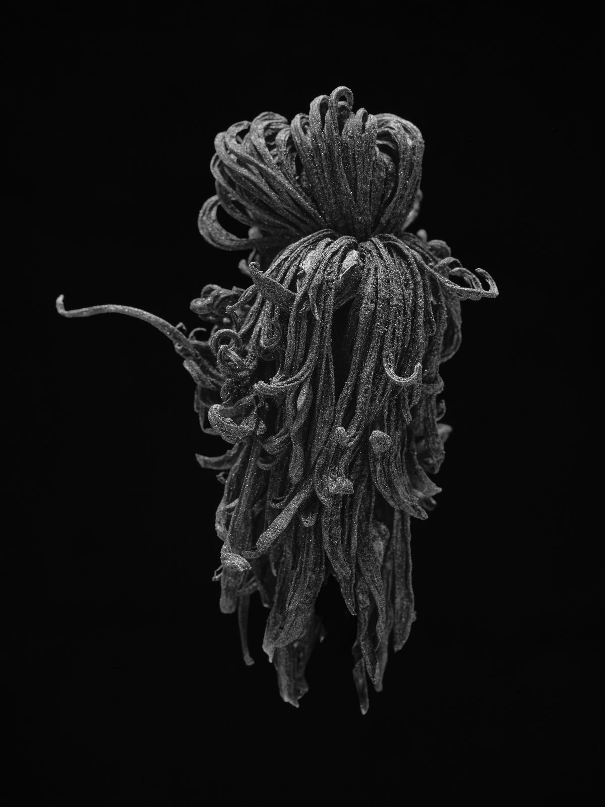 조선희(b. 1971) 〈Black Imago 170823〉 2025 Archival pigment print 100 x 75 cm Courtesy of the artist 이미지 제공: 국제갤러리