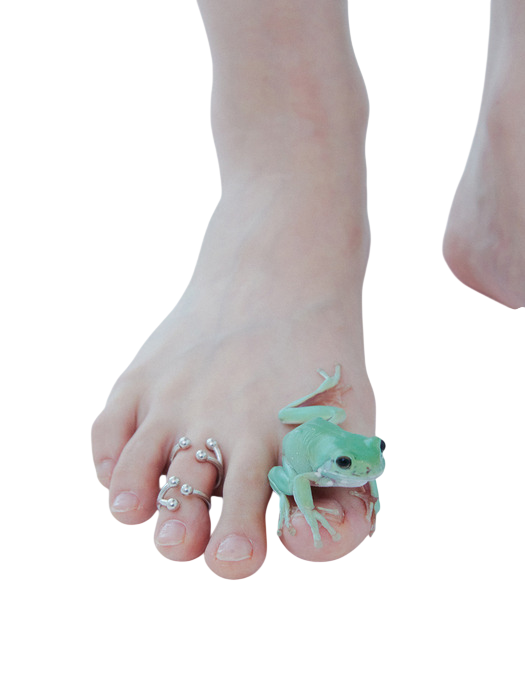 프로그 실버 토 링