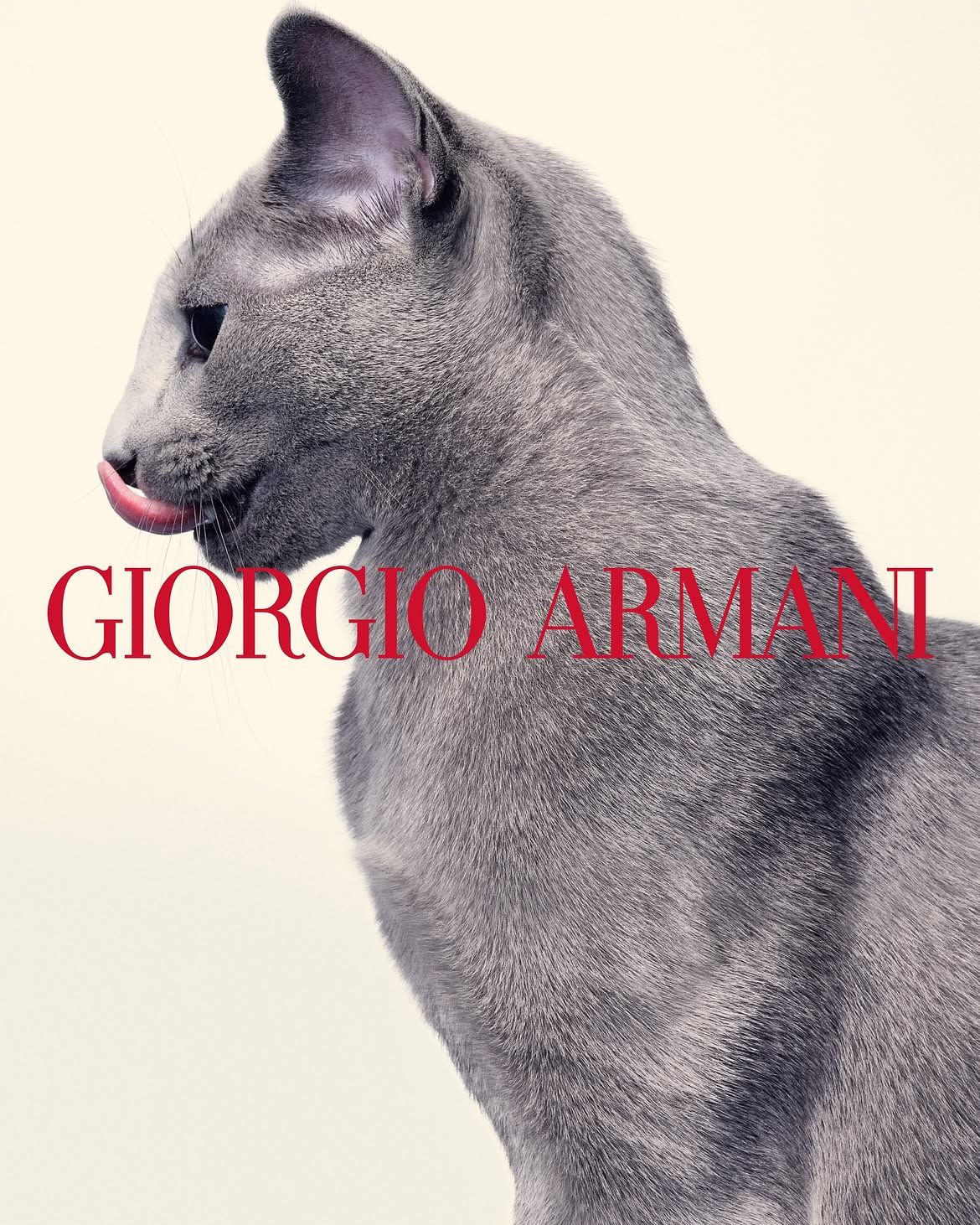 사진 / @giorgioarmani