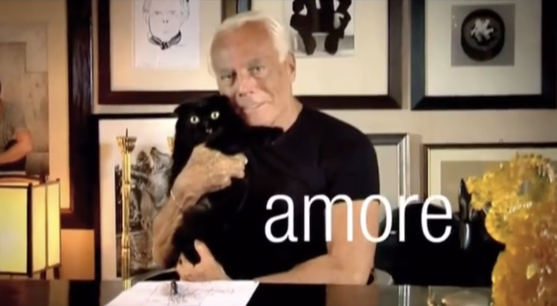 사진 / Io amo gli animali