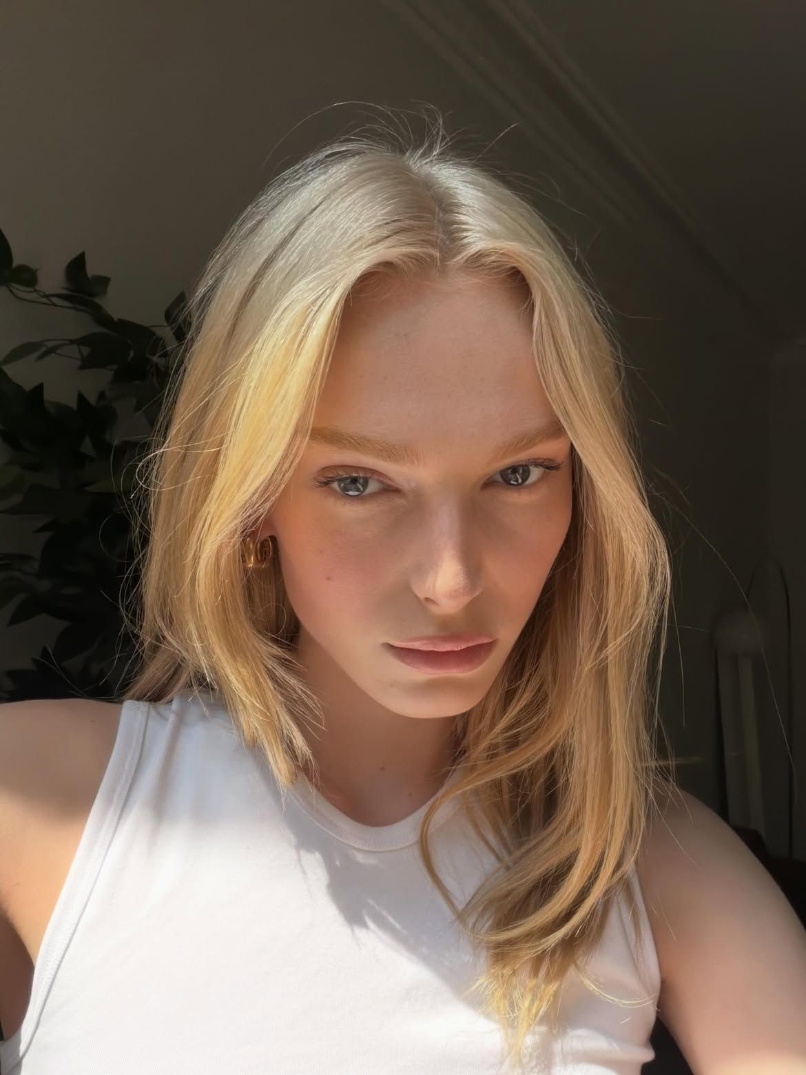 @alexconsani