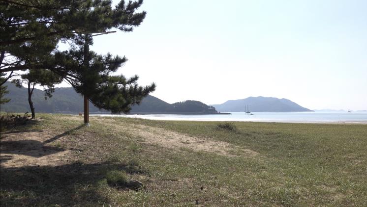 수백 년 된 해송과 나란한 서포리 해변