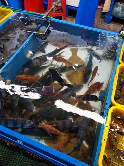 활기찬 오늘의 친구들