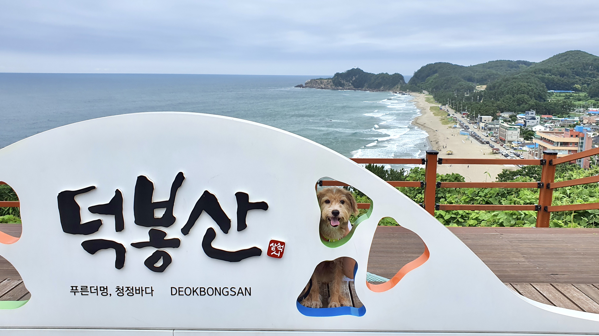 카사비앙카