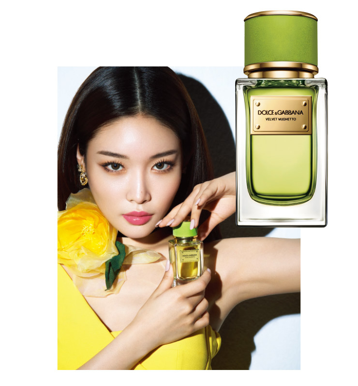 Dolce&Gabbana Beauty 벨벳 무게또 26만원대.