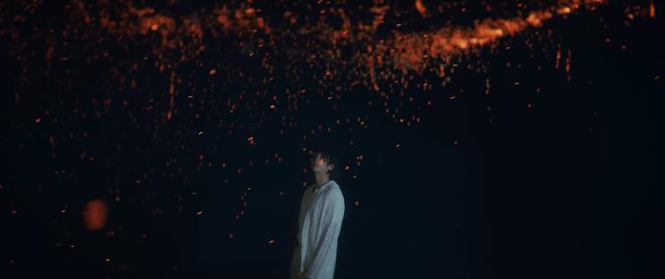 사진/RM '들꽃놀이' 뮤직비디오