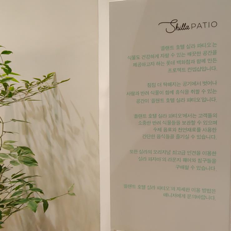 실라 파티오