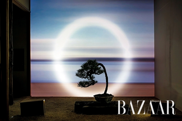 히라오 마사시×세토우치 공예팀 / 카가와현 분재생산진흥협의회, ‘Feel Feel BONSAI’, 2016, Photo: Shintaro Miyawaki