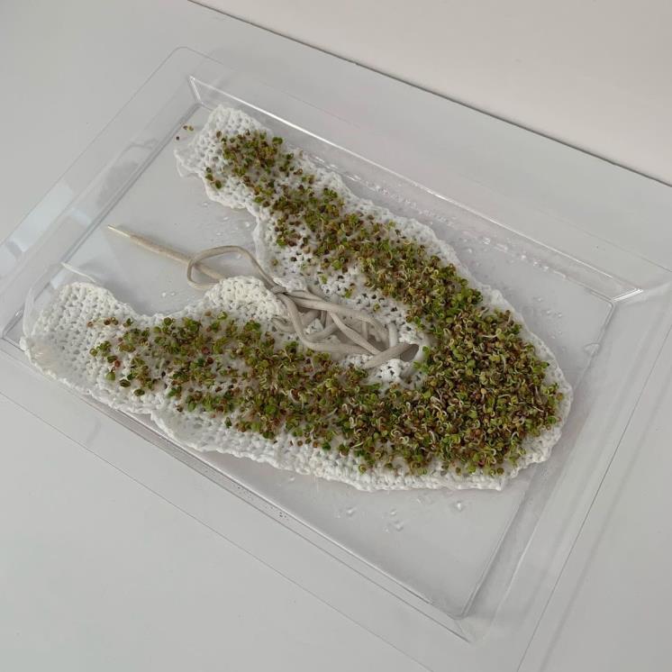 사진/ @stellaaharrylee