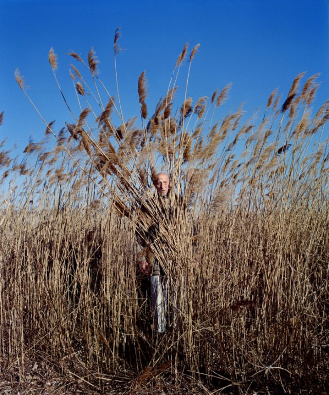 Eyes as Big as Plates #Marty(US 2013) ⓒKaroline Hjorth & Riitta Ikonen