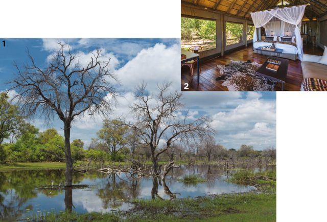 1 보츠와나의 오카방고 델타. 2 사파리 캠프의 텐트.