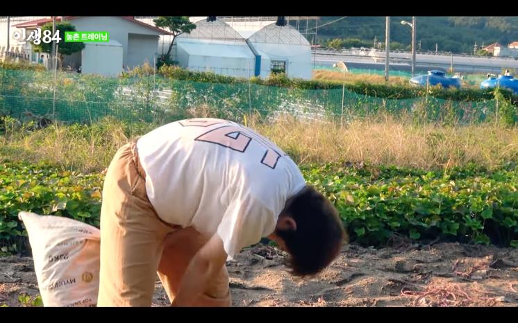 YouTube @인생84