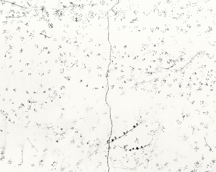 <White #04>, 34.5x43cm, 1999.