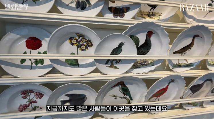 셀럽셀렉