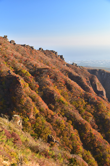 출처/ 한라산국립공원