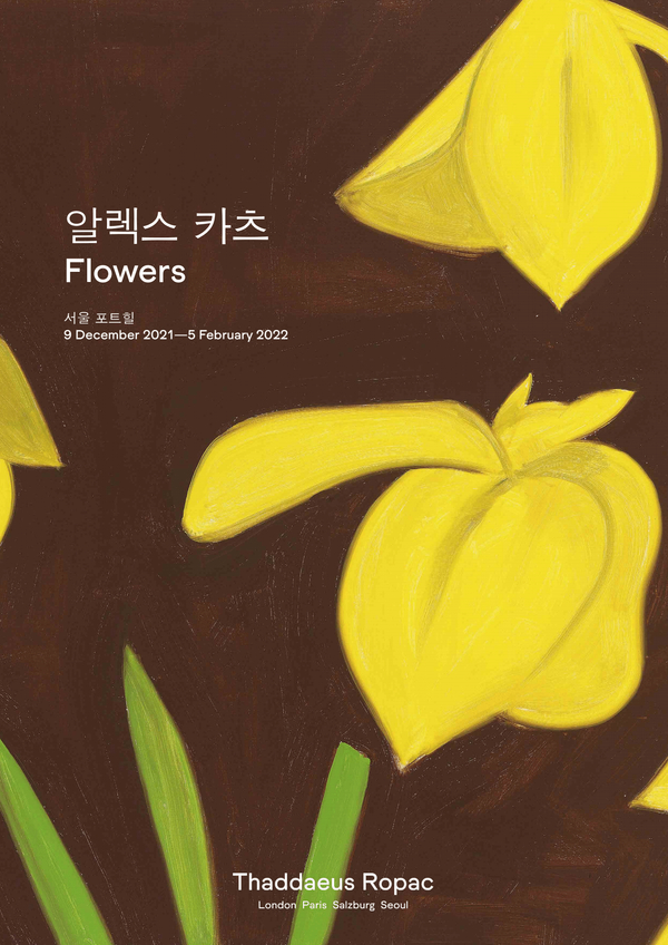 사진 타데우스 로팍 서울