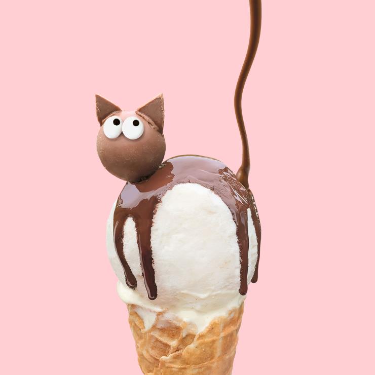 Choco Cat, 2020