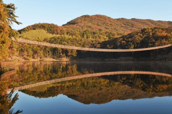 이미지 출처: 파주시 홈페이지(tour.paju.go.kr)