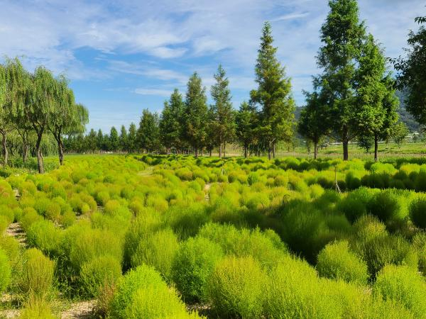 창포원, 사진/ 거창군 홈페이지