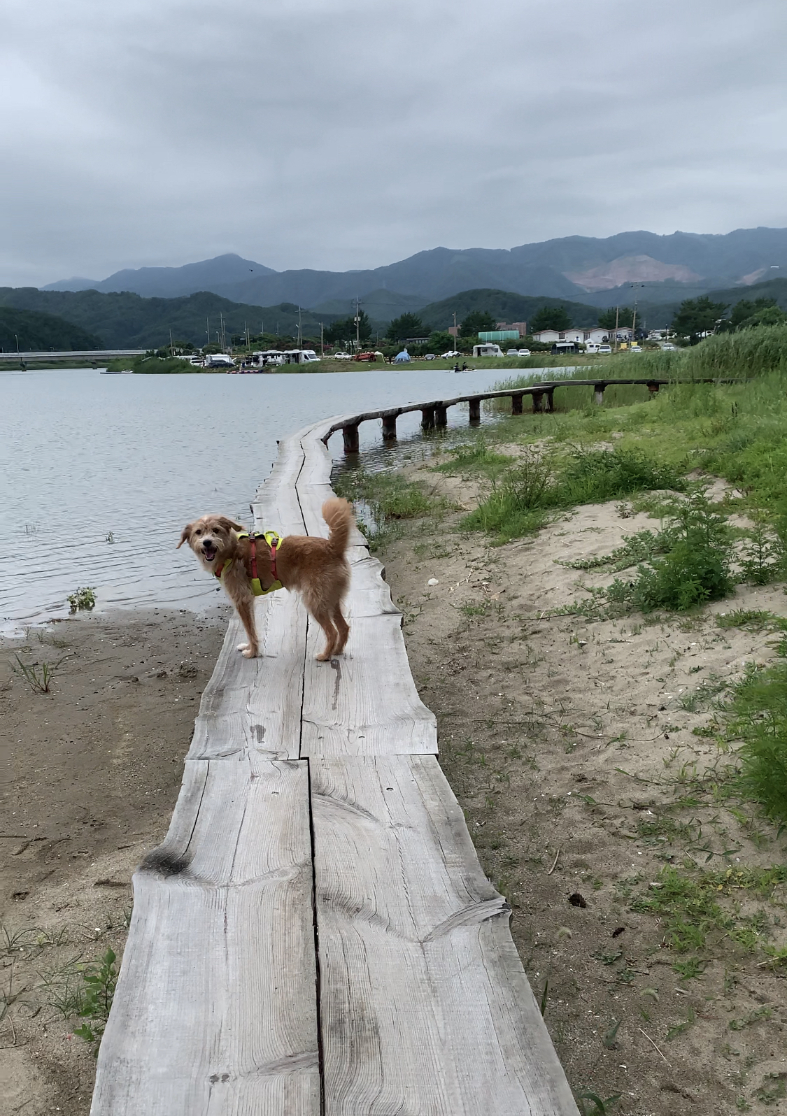카사비앙카